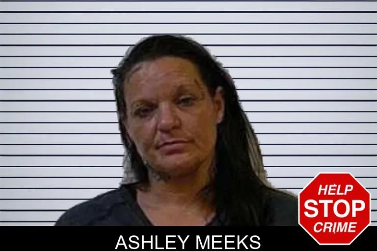 Ashley Meeks