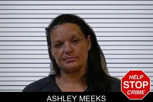 Ashley Meeks mugshot
