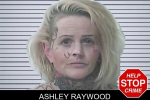 Ashley Raywood mugshot