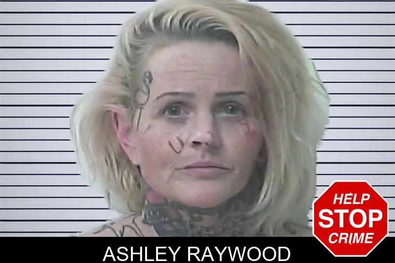 Ashley Raywood mugshot