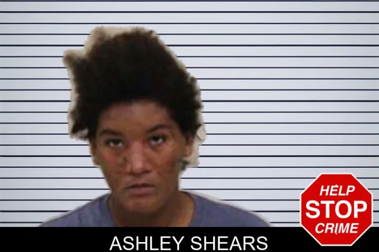 Ashley Shears