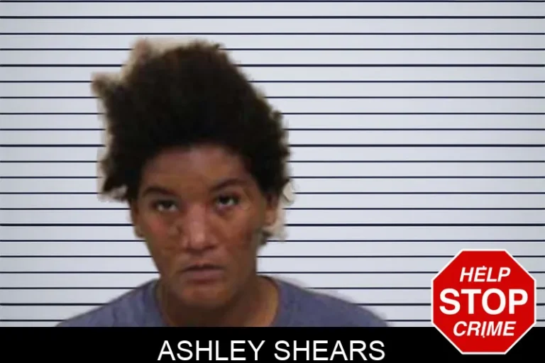 Ashley Shears