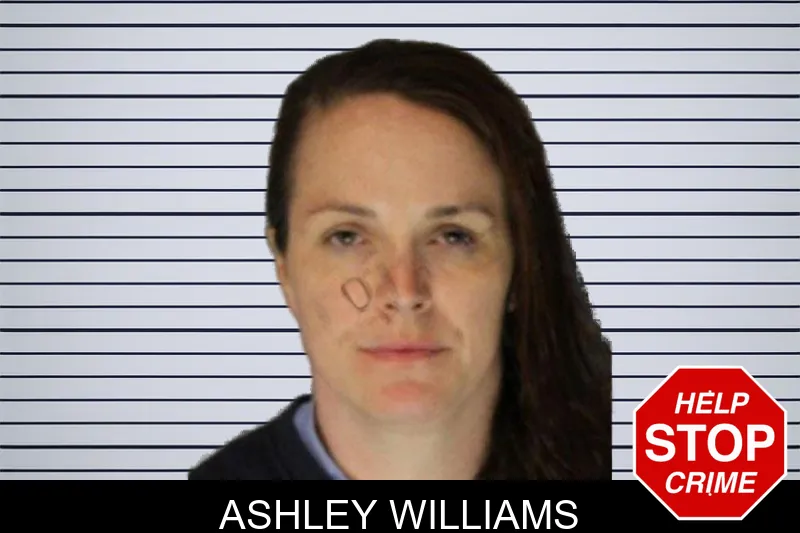 Ashley Williams mugshot – Hall County , Georgia Ashley Williams mugshot