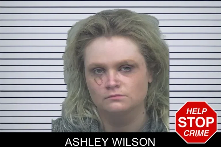 Ashley Wilson