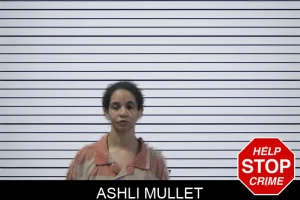 Ashli Mullet mugshot