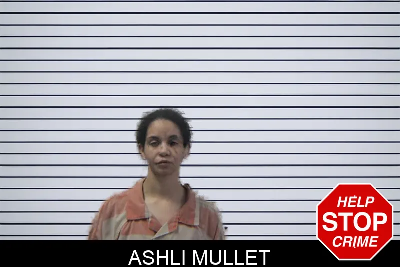 Ashli Mullet mugshot – Stephens County , Georgia Ashli Mullet mugshot