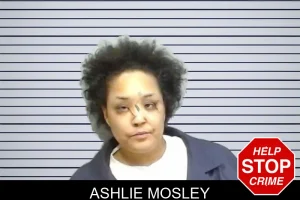 Ashlie Mosley mugshot