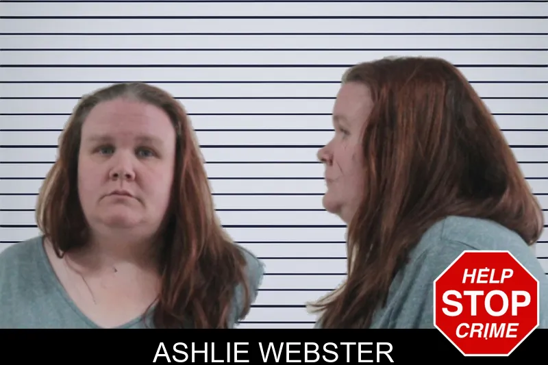 Ashlie Webster mugshot – Houston County , Georgia Ashlie Webster mugshot