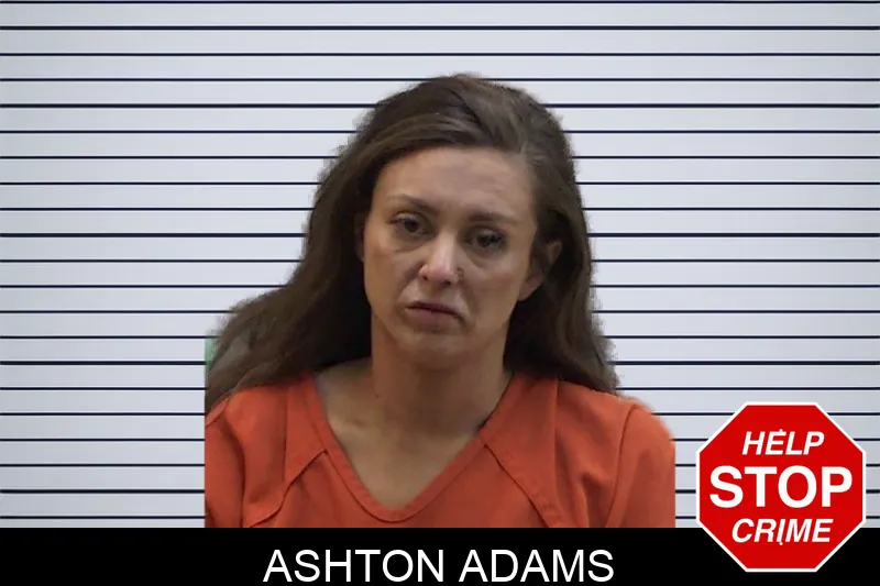 Ashton Adams mugshot – Madison County , Georgia Ashton Adams mugshot