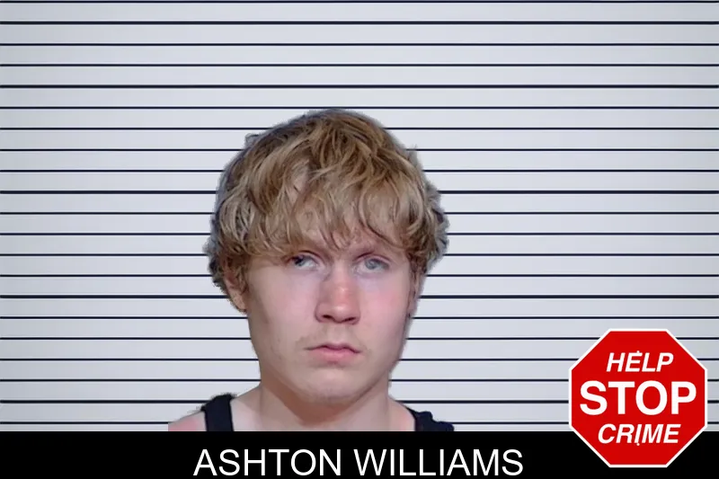 Ashton Williams mugshot
