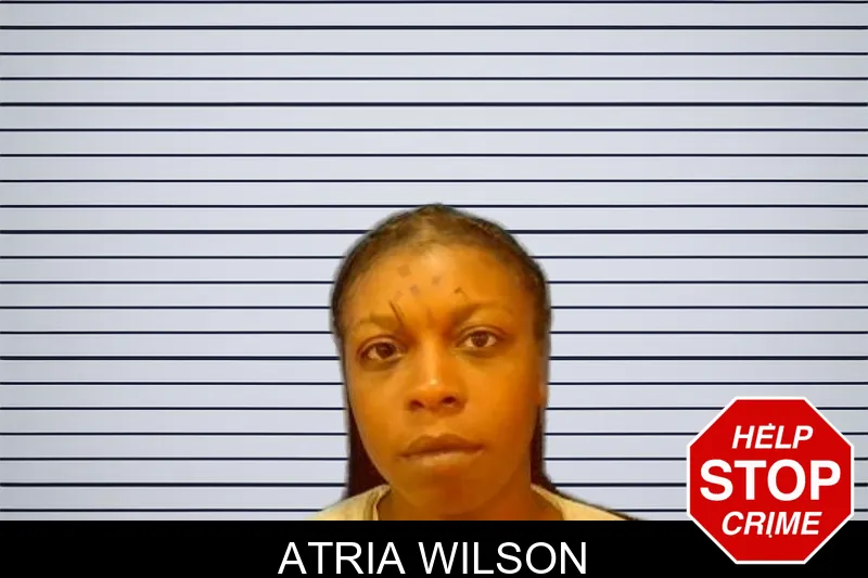 Atria Wilson mugshot