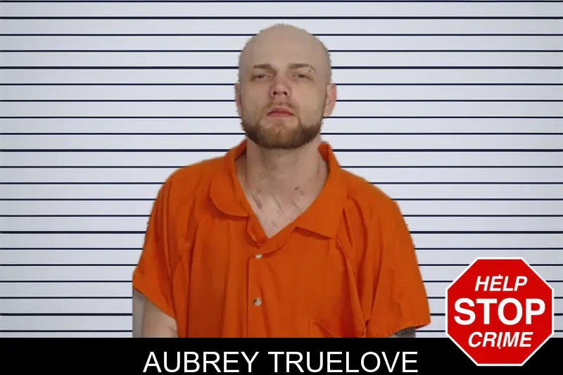 Aubrey Truelove mugshot