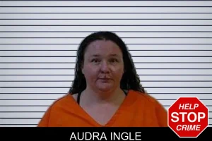 Audra Ingle mugshot