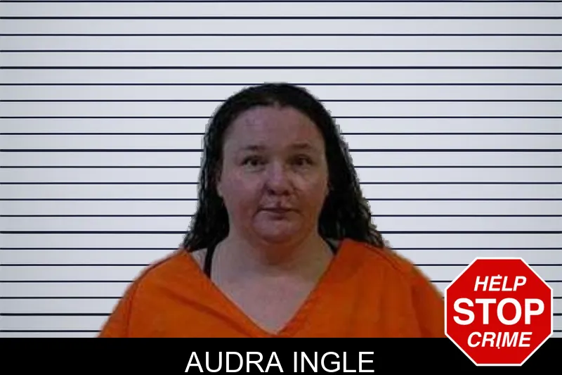 Audra Ingle mugshot