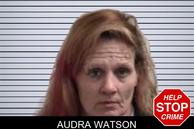 Audra Watson mugshot