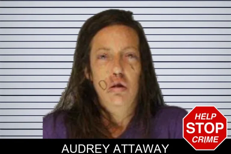 Audrey Attaway mugshot – Hall County , Georgia Audrey Attaway