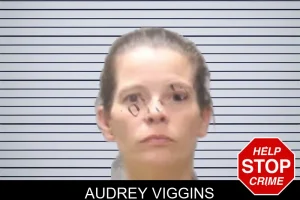 Audrey Viggins mugshot