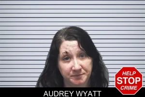 Audrey Wyatt mugshot