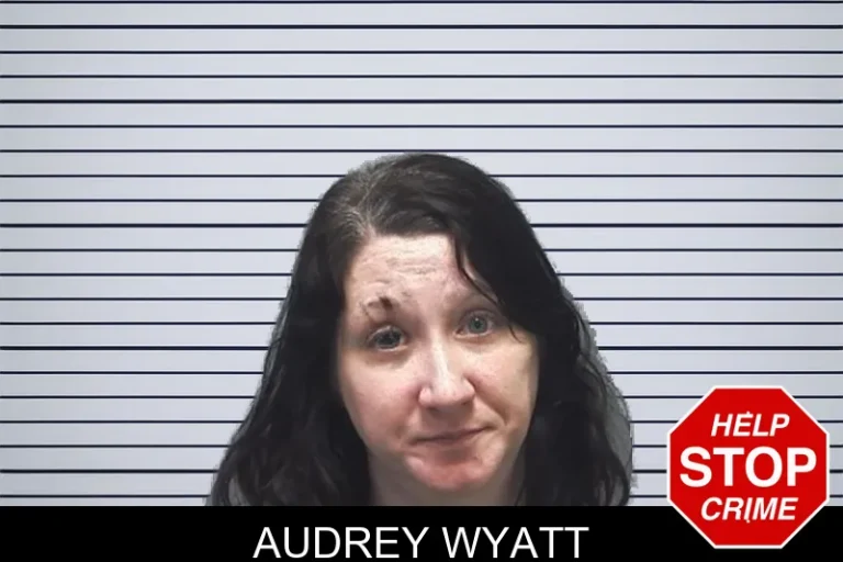 Audrey Wyatt mugshot – Cherokee County , Georgia Audrey Wyatt