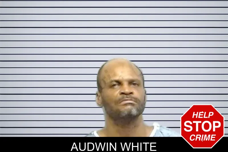 Audwin White mugshot