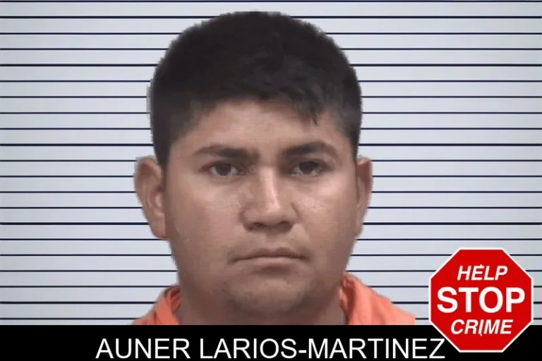 Auner Larios-Martinez