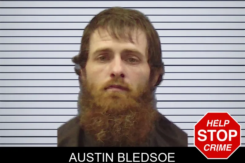 Austin Bledsoe mugshot