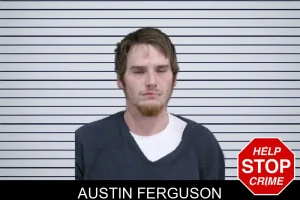 Austin Ferguson mugshot
