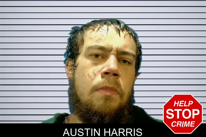 Austin Harris mugshot