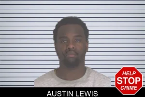Austin Lewis mugshot