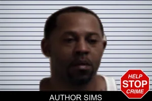 Author Sims mugshot