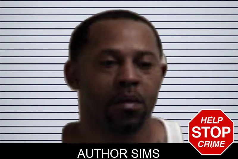 Author Sims mugshot