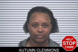 Autumn Clemmons mugshot