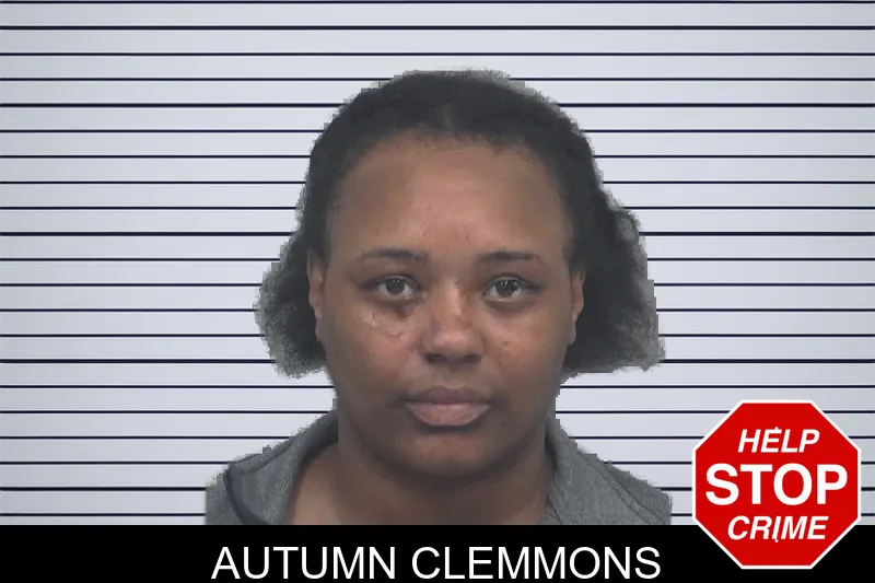Autumn Clemmons mugshot