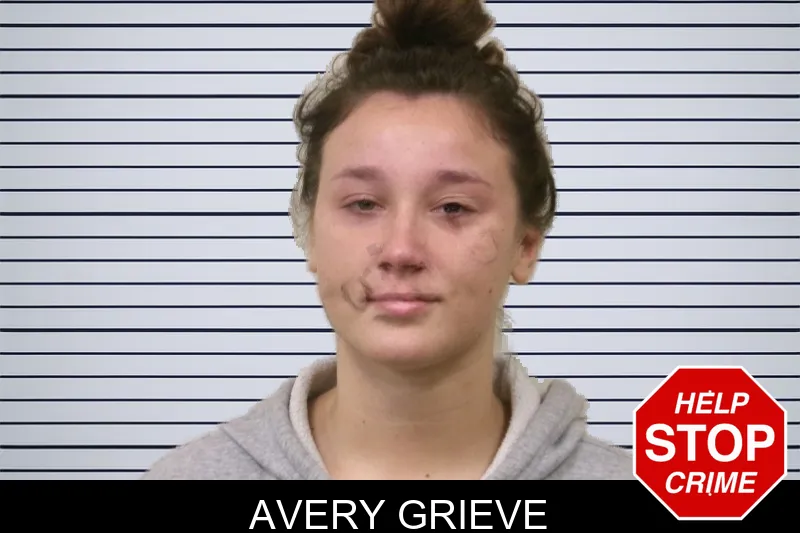 Avery Grieve mugshot – Bulloch County , Georgia Avery Grieve mugshot