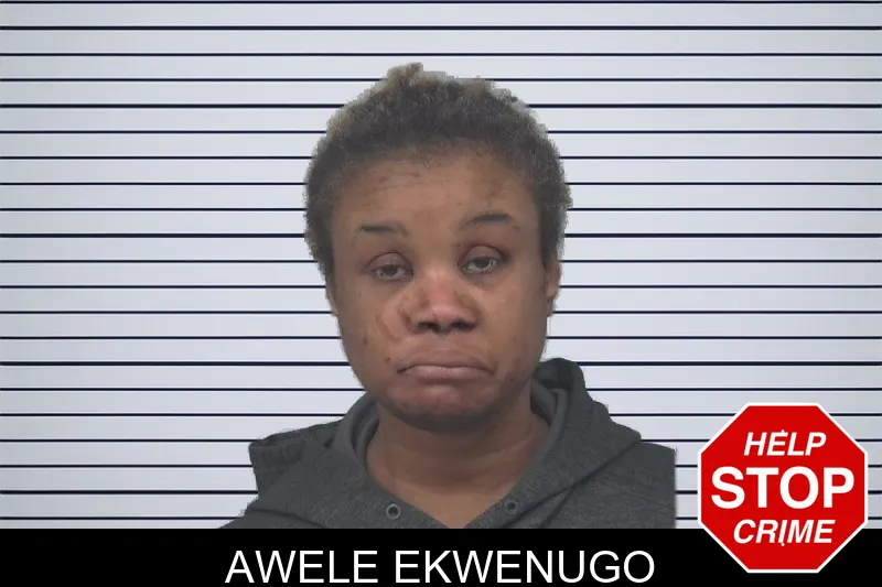 Awele Ekwenugo mugshot – Gwinnett County , Georgia Awele Ekwenugo mugshot