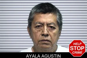 Ayala Agustin mugshot