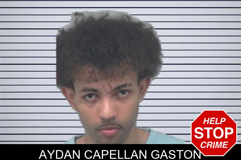 Aydan Capellan Gaston mugshot