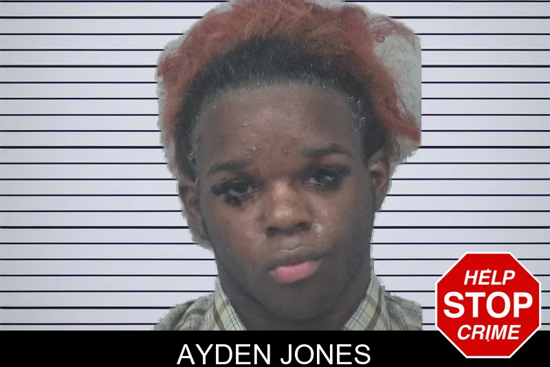 Ayden Jones mugshot