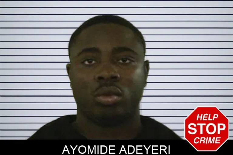 Ayomide Adeyeri mugshot – Liberty County , Georgia Ayomide Adeyeri