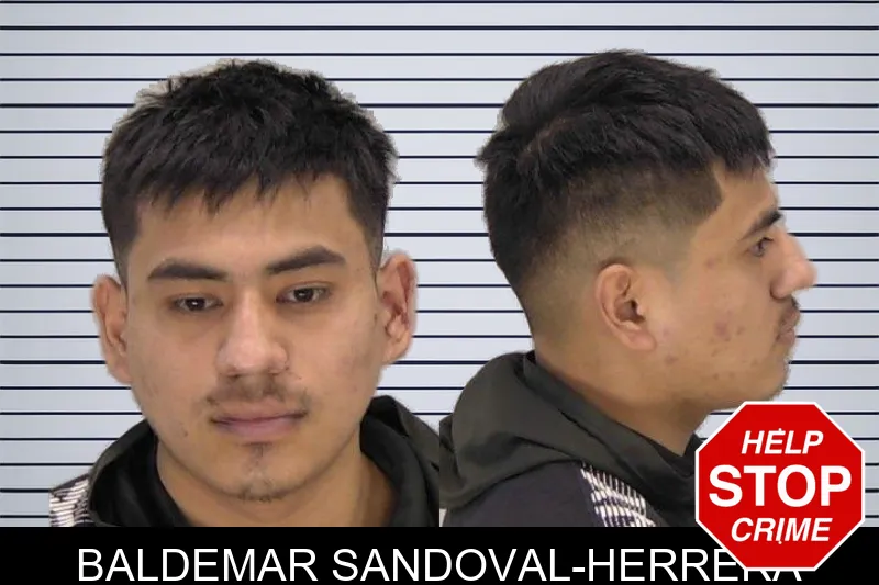 Baldemar Sandoval-Herrera mugshot