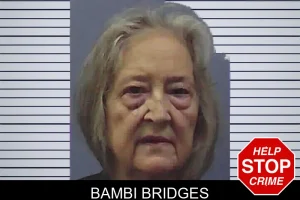Bambi Bridges mugshot