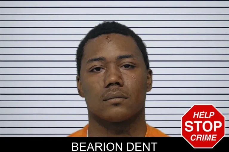 Bearion Dent