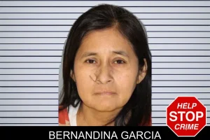Bernandina Garcia mugshot