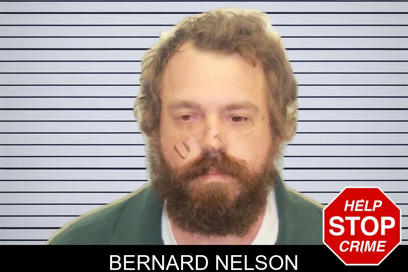 Bernard Nelson mugshot – Chatham County , Georgia Bernard Nelson mugshot