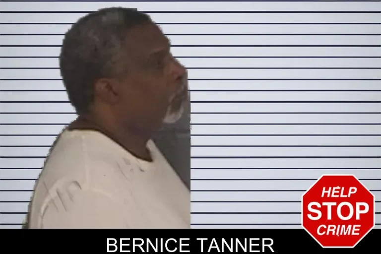 Bernice Tanner mugshot – Barrow County , Georgia Bernice Tanner
