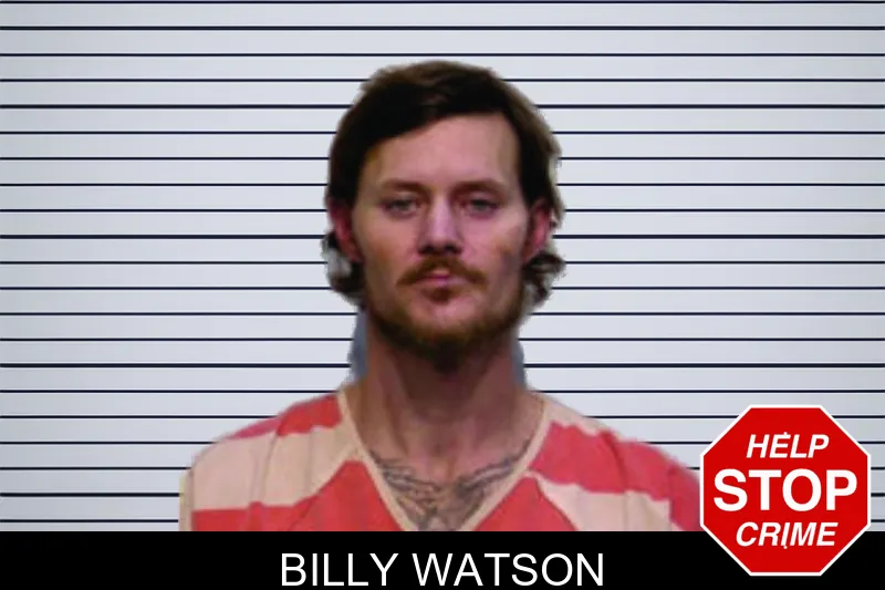 Billy Watson mugshot