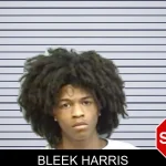 Bleek Harris mugshot