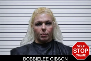 Bobbielee Gibson mugshot