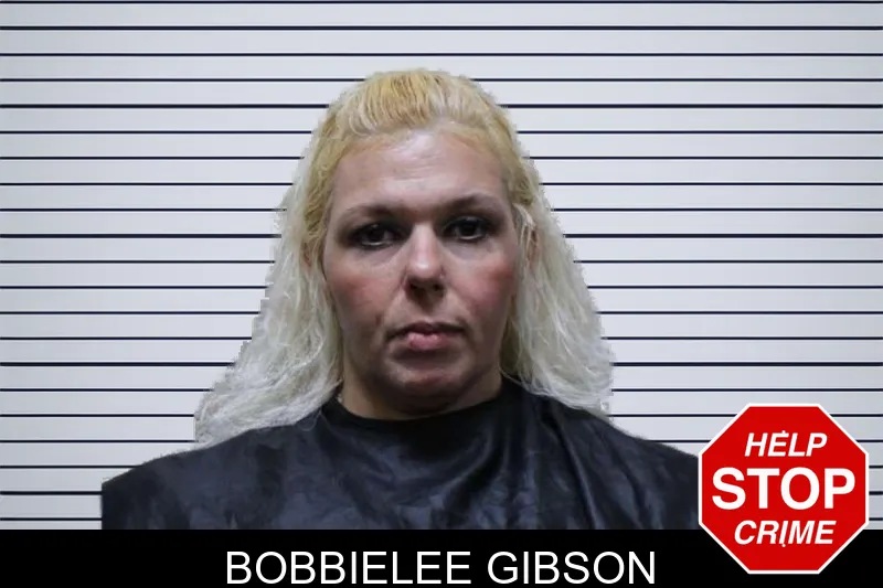 Bobbielee Gibson mugshot