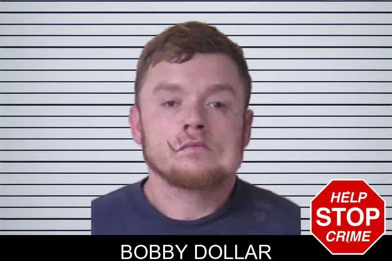 Bobby Dollar mugshot – Walker County , Georgia Bobby Dollar mugshot